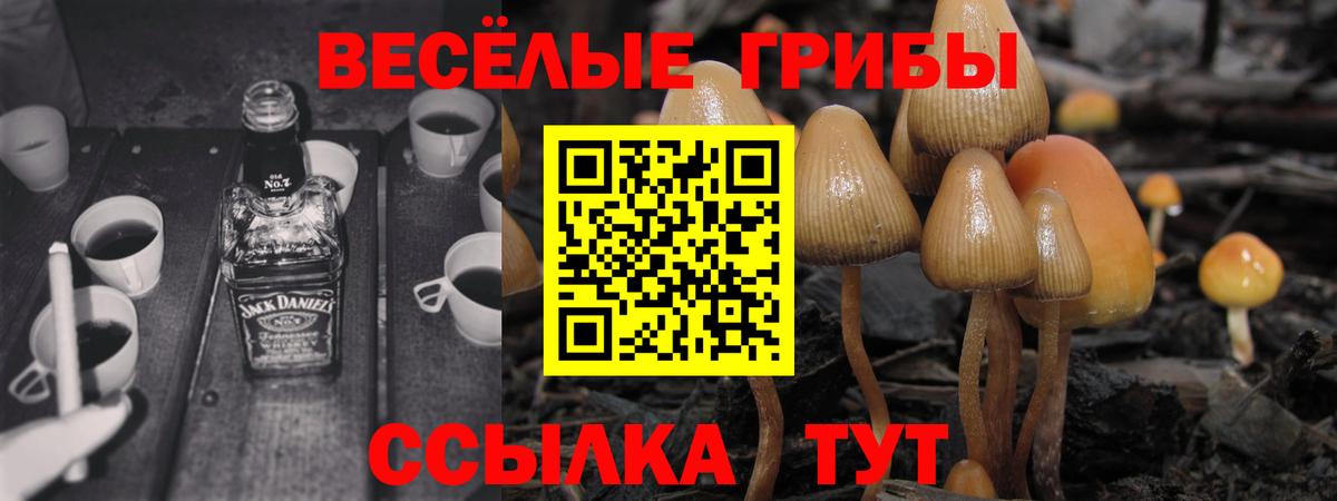 купить   Псилоцибиновые грибы Magic Shrooms  Вход с VPN  Тельмана 