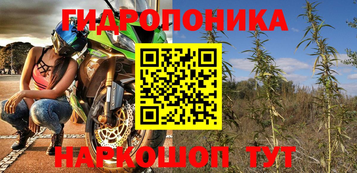 Марихуана OG Kush  Конопля AK-47  Тельмана  Вход с VPN 